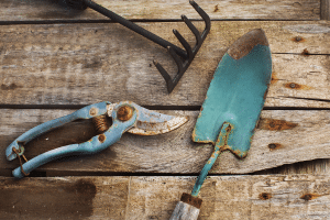 A blue garden spade, shears, and mini rake covered in rust sitting on top of a wooden table getting ready for garden tool storage.