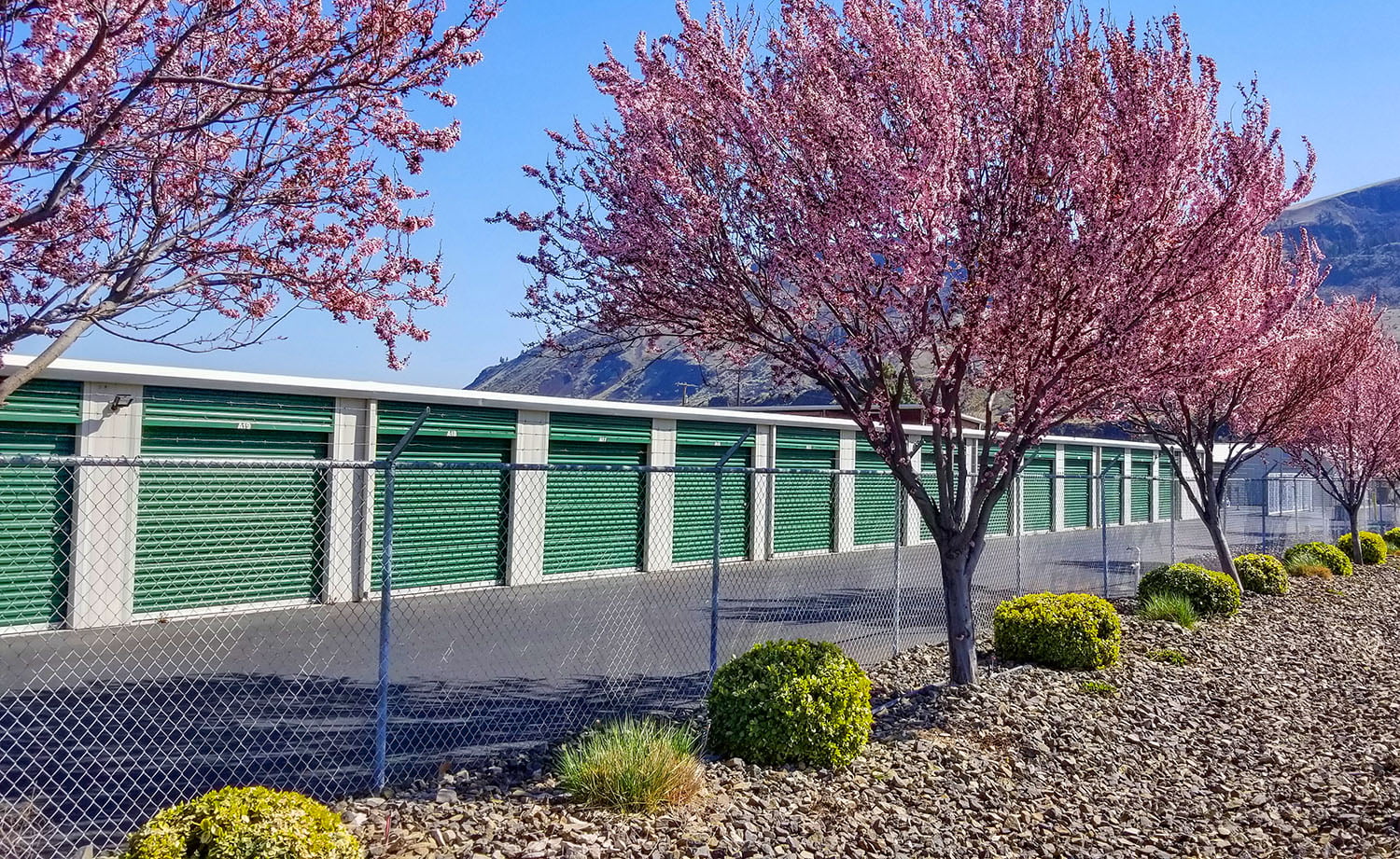 perimeter fencing with flowering trees