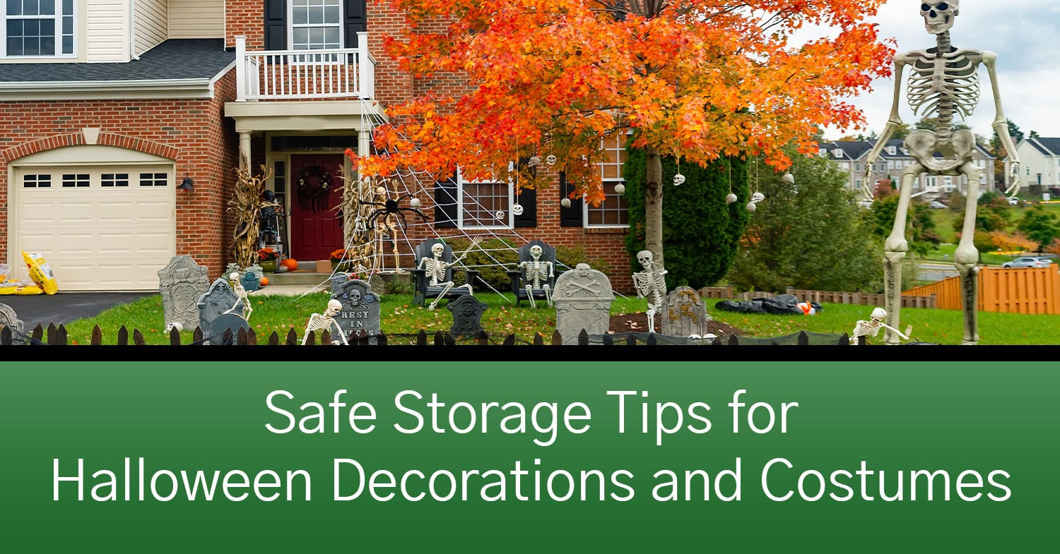 Safe Storage Tips for Halloween Decorations and Costumes EZ Access